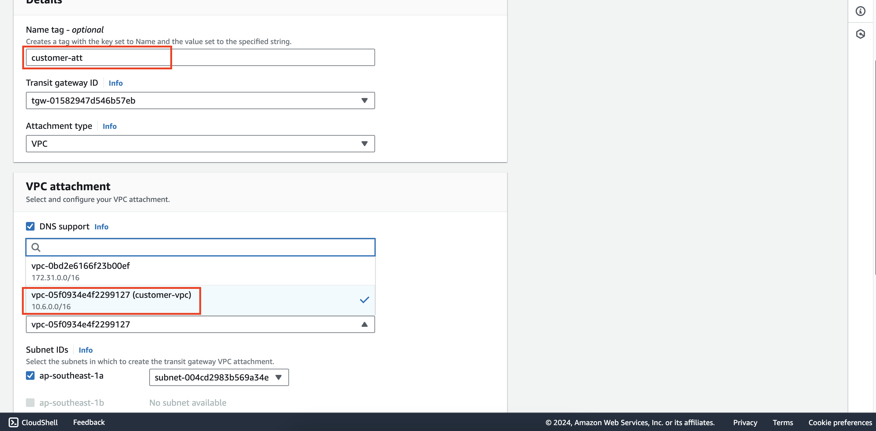 Customer transit gateway